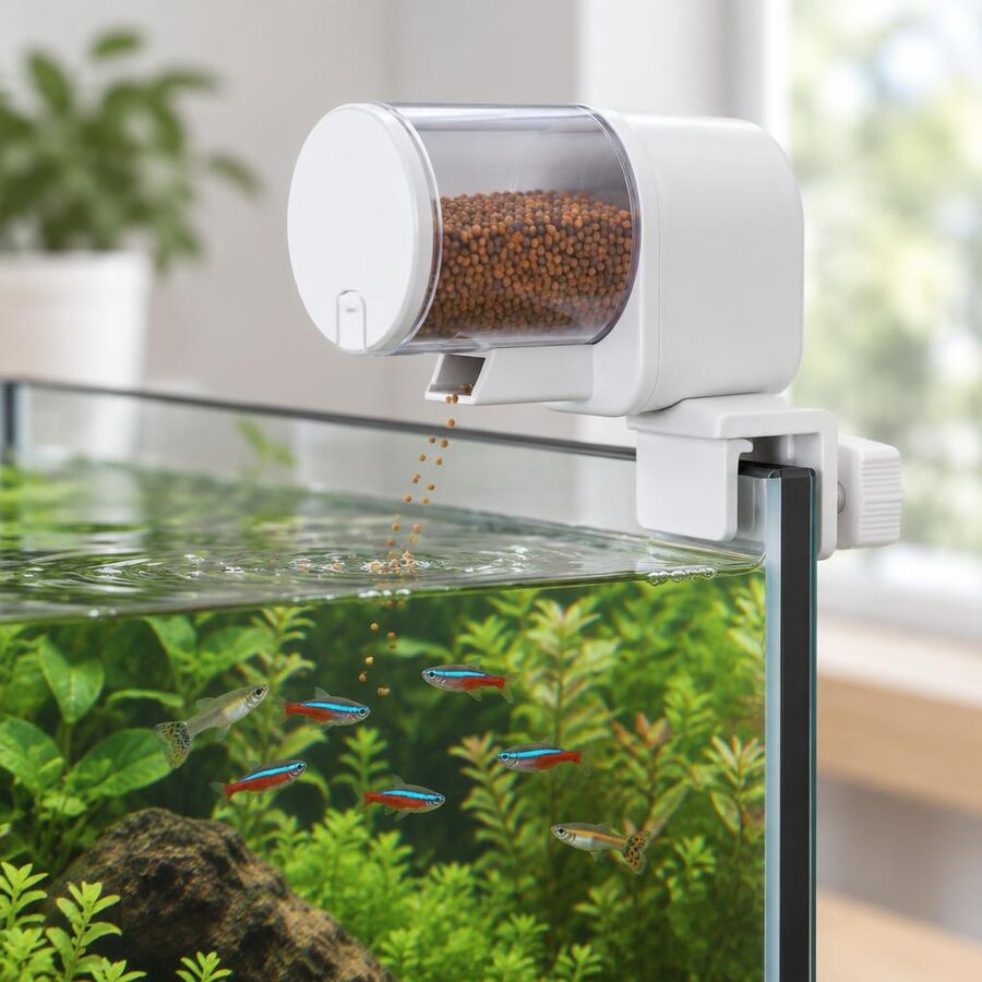White automatic fish feeder clipped to the rim of a planted aquarium