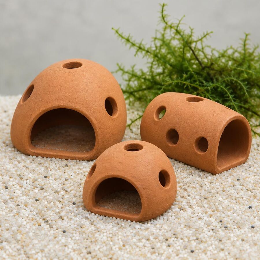 Three terracotta ceramic shrimp caves on aquarium sand with moss